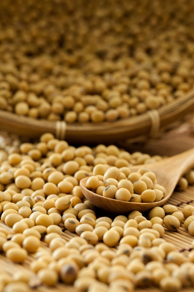 我是bean