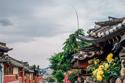 北川韩屋村，韩国首尔的传统房屋和玫瑰