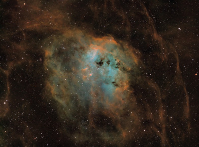 蝌蚪星云(IC 410)