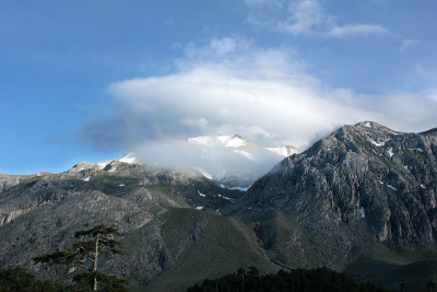山