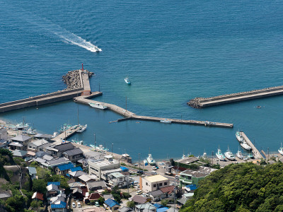 港