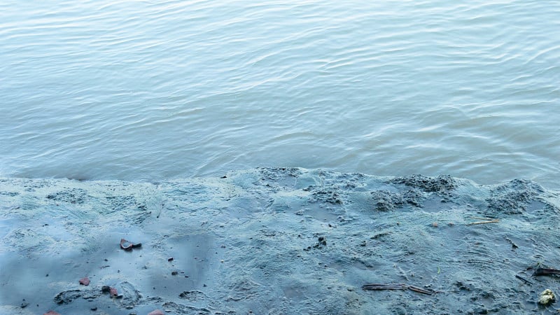 低潮时泥泞的河岸靠近波浪。河流沉积的冲积土。自然背景。关闭了。