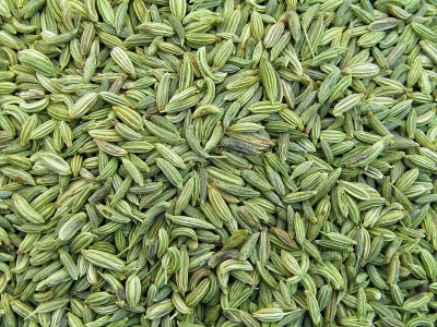 特写茴香种子库存照片
