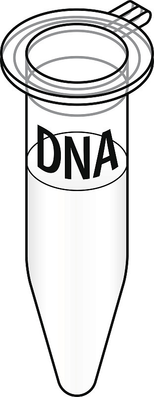 DNA样本
