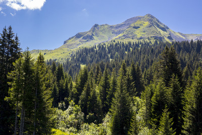 夏季高山景观，瑞士阿尔卑斯山脉，瑞士