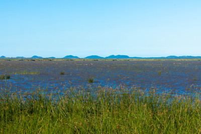 圣卢西亚附近的iSimangaliso湿地公园是野生海岸上原始的泻湖。旅游度假理念。