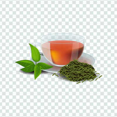 矢量插图在现实主义风格关于绿色或草药茶