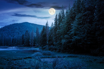 湖光夜景