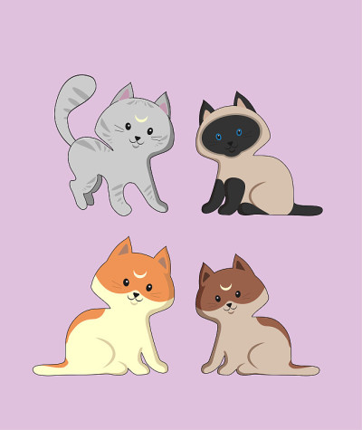 四只不同品种的可爱猫