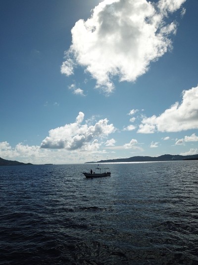 Uninhabited Island
