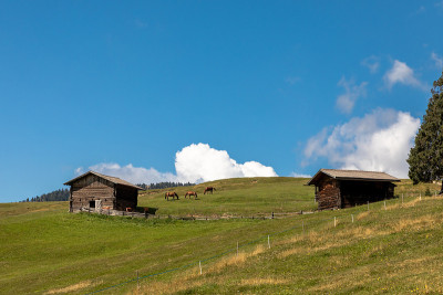 马在Seiser Alm
