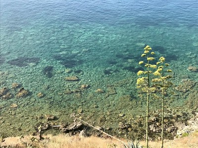 意大利-西西里-米拉佐的老板