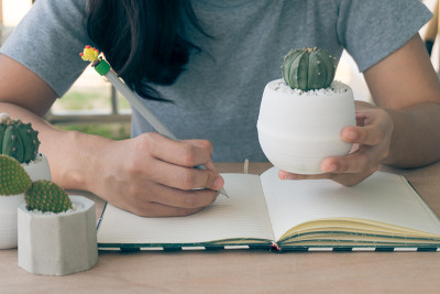 近看一个女人研究和照顾仙人掌在木桌子上的仙人掌种植房子，仙人掌苗圃