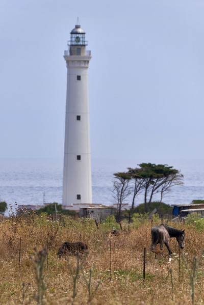灯塔