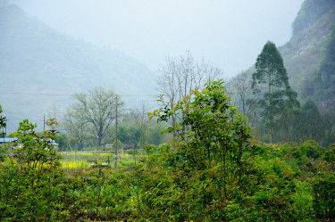 群山和乡村景色