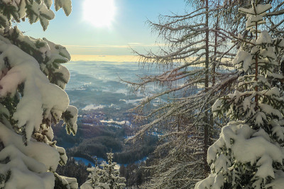 舍克尔——奥地利阿尔卑斯山脉，第一束阳光穿过雪覆盖的舍克尔山顶的树枝