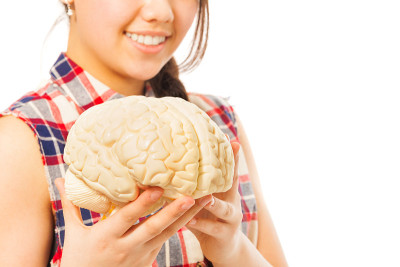 微笑的女孩手里拿着大脑模型