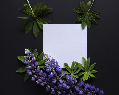 模型用鲜花