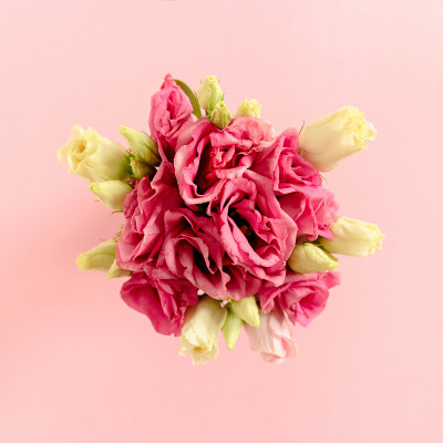 一束口冬花