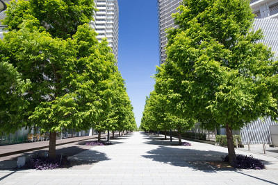 日本横滨的新鲜绿色高层建筑和公寓