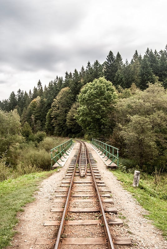 波兰东南部比斯扎迪山区西斯那村附近的窄轨铁路，背景是一座桥和一片森林