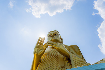斯里兰卡金佛旅游