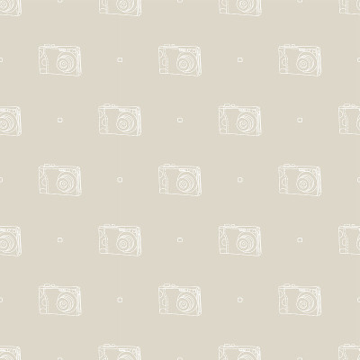 数码相机模式