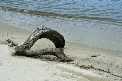 海滩