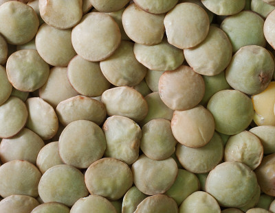 小扁豆