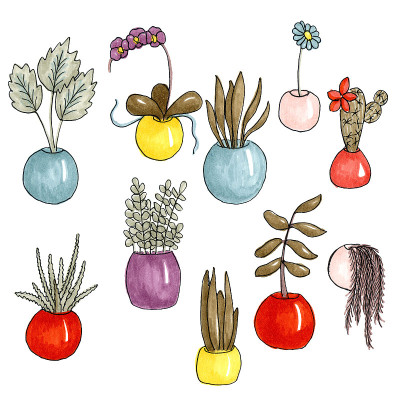 手绘的白色背景上的室内花卉素描标记的插图