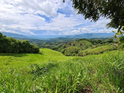美丽的田园风光，蓝天在田野。