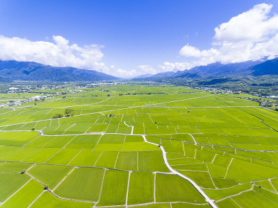 稻田谷地鸟瞰图。台湾。