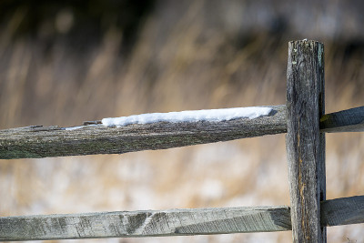 雪栅栏