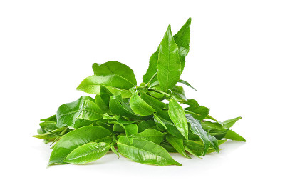 白色背景上孤立的绿茶叶子