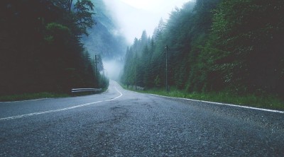 山路在阴雨霏霏的夏日里产生了一种神秘而迷人的风景。