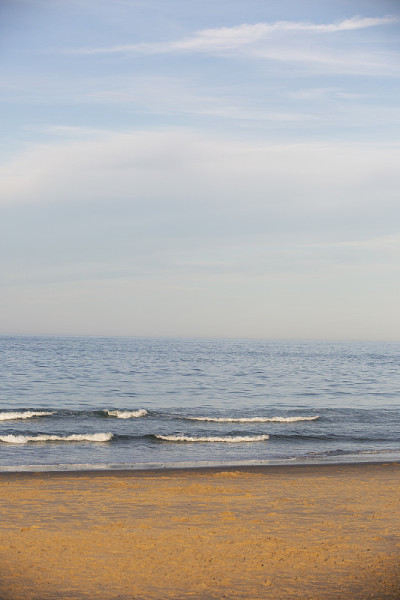 美丽的鳕鱼角海岸，Wellfleet MA