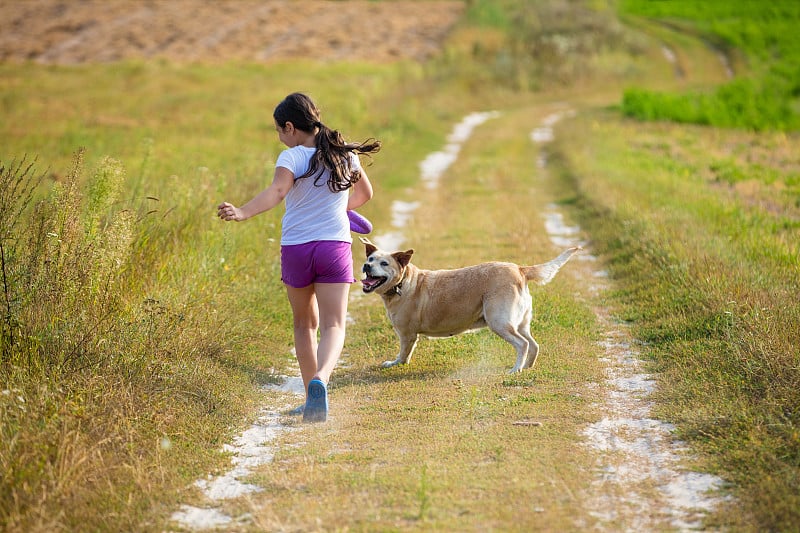 小女孩和拉布拉多猎犬在田野上散步。狗看着女孩