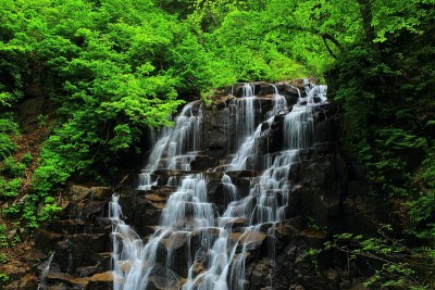 夏林或谷