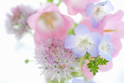 花束