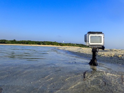 竹美岛日本冲绳岛海洋生物