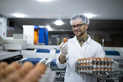 图为食品加工厂的食品技术人员戴着发网和卫生手套，用工业运输和包装机检查鸡蛋的质量。