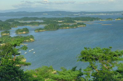 大邱松岛