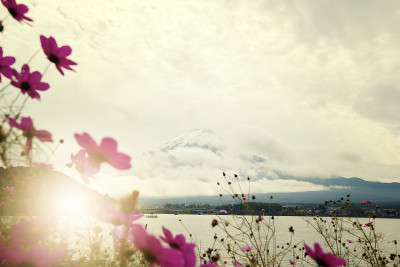 秋天富士山的复古景观