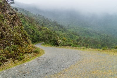 通往厄瓜多尔南部国家森林公园的道路