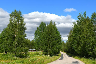 夏季景观与乡村道路。芬兰拉普兰