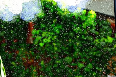 雨滴落在窗户上