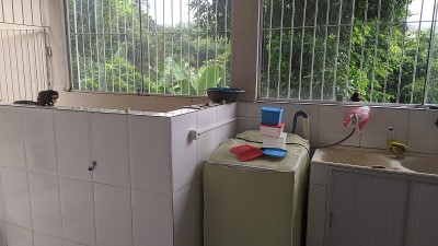 猴子在我家