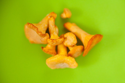 美味的蘑菇