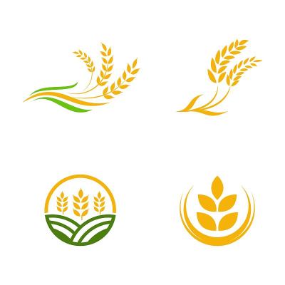 农业小麦水稻矢量图标设计