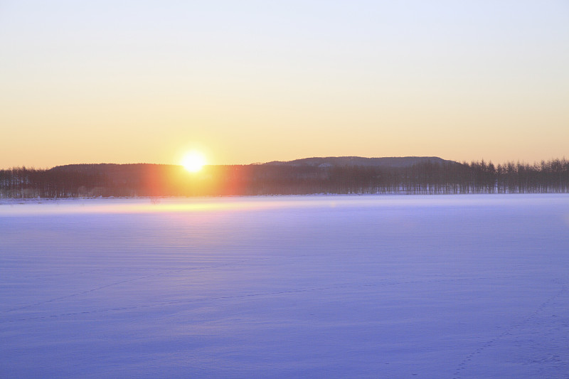 太阳雪